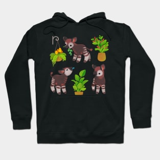 Okapi Hoodie